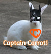 Captain Carrot!