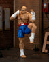 ** PRE-ORDER** Jada Toys Street Fighter - Sagot