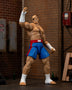 ** PRE-ORDER** Jada Toys Street Fighter - Sagot