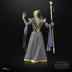 **PRE-ORDER** Star Wars: The Black Series - Prince Xizor (Shadows of the Empire)