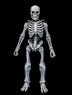 **PRE-ORDER** Four Horsemen Graveyard Skeletons (4 Pack)