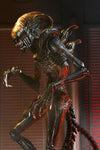 **PRE-ORDER** Alien: Romulus Ultimate Scorched Xenomorph