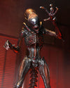 **PRE-ORDER** Alien: Romulus Ultimate Scorched Xenomorph