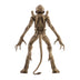 **PRE-ORDER** Syndicate Collectibles- Pumpkinhead (Deluxe)